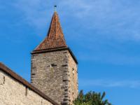 Birnenbaum vor Stadtmauer mit Thomas Hörber Turm - Rothenburg o.d.T.